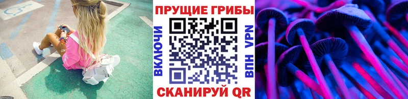 Галлюциногенные грибы мухоморы  Осташков 